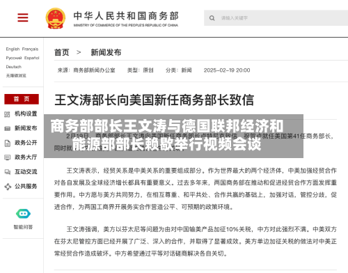 商务部部长王文涛与德国联邦经济和能源部部长赖歇举行视频会谈