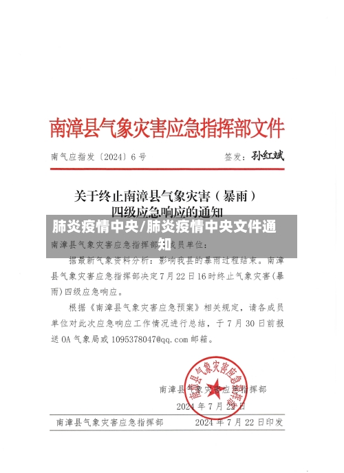 肺炎疫情中央/肺炎疫情中央文件通知