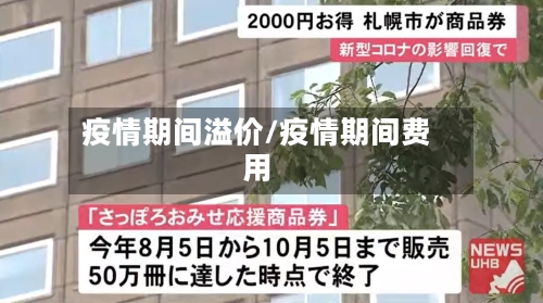 疫情期间溢价/疫情期间费用