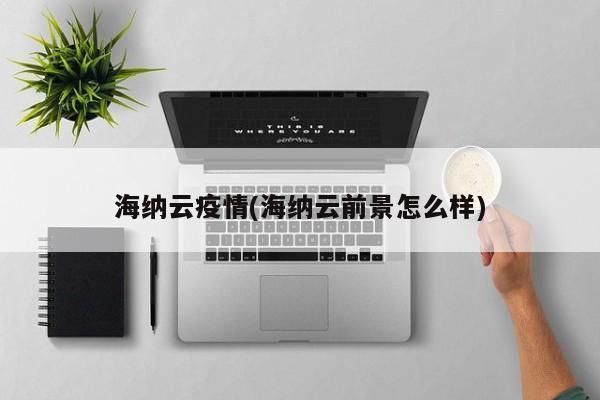 海纳云疫情(海纳云前景怎么样)